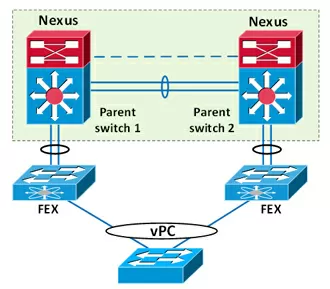 Nexus FEX.jpg