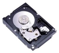 Жесткий диск Fujitsu 147GB 35_ SCSI MAW3147NC