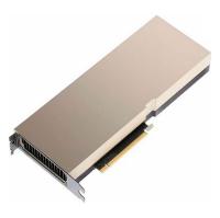 A100 PCIe 80GB