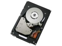 Жесткий диск IBM 2TB 7.2K SATA-II 3.5. 59Y5484